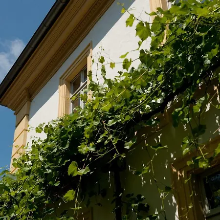 Zur Sonne