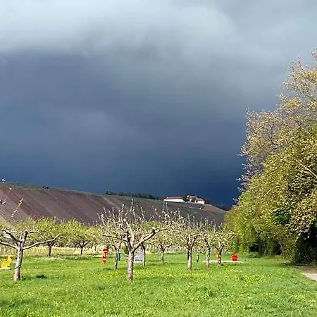 Zur Sonne Han/Misafirhane Nordheim am Main
